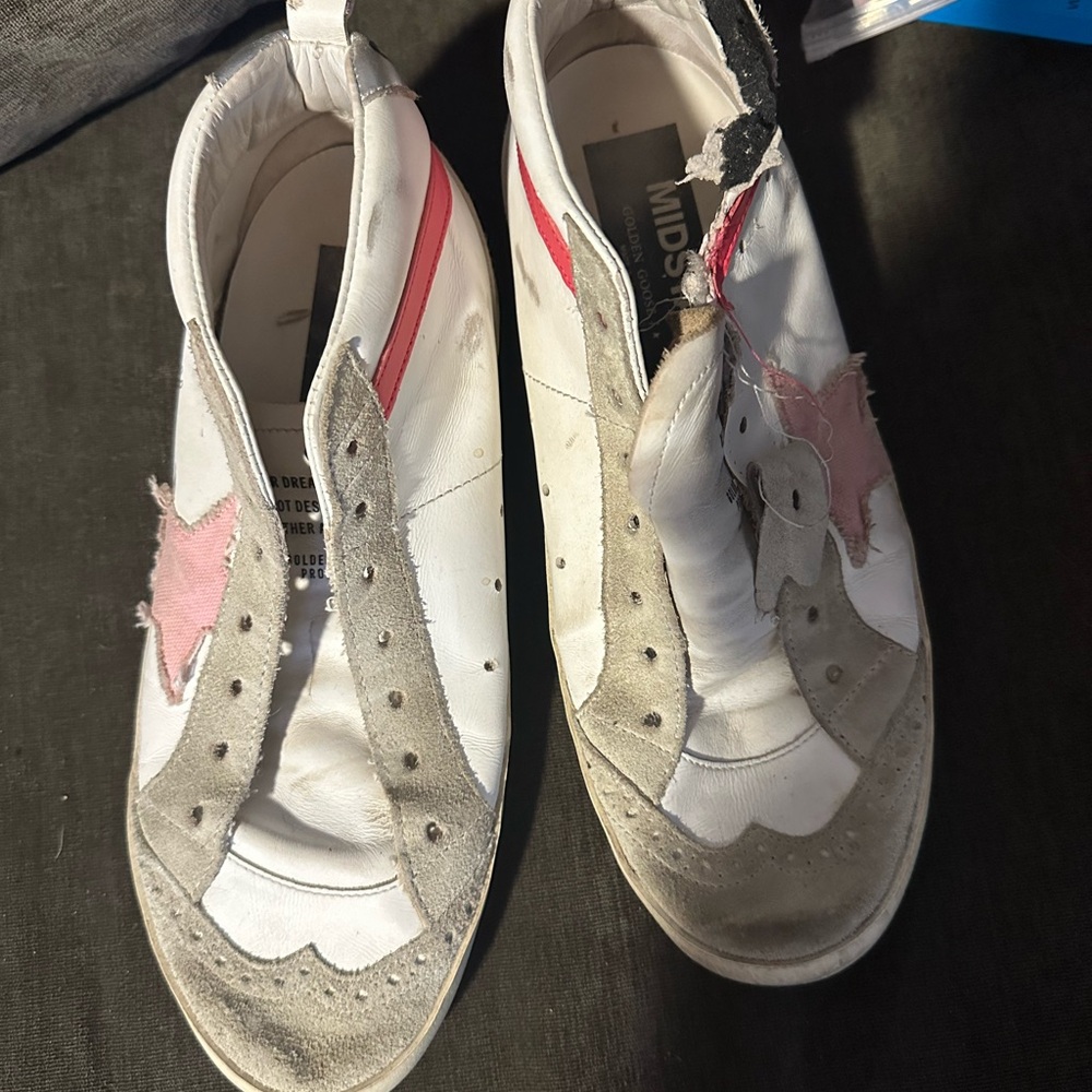 TLC Golden Goose 38